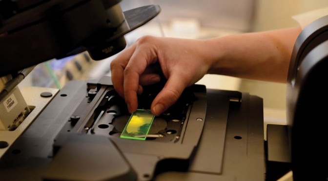 Researcher looking at scientific equipment